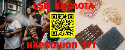 гашик Волжский