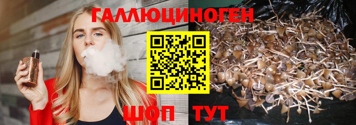 Галлюциногенные грибы Cubensis Шебекино